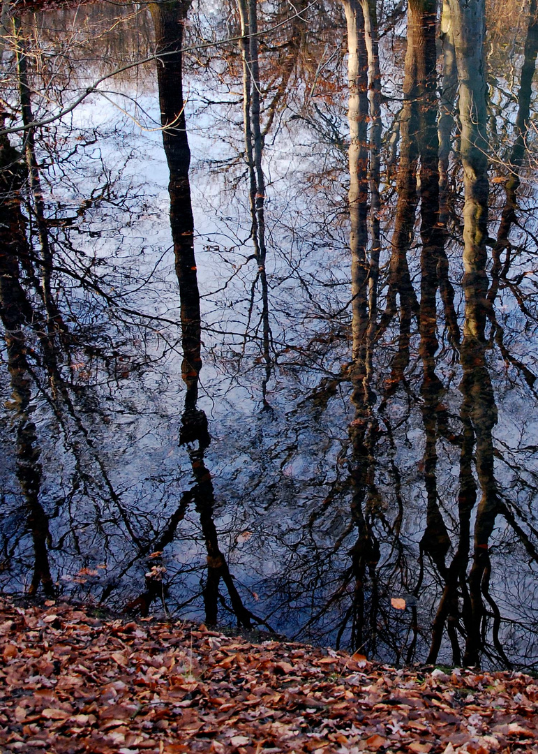 Verkehrte Welt I