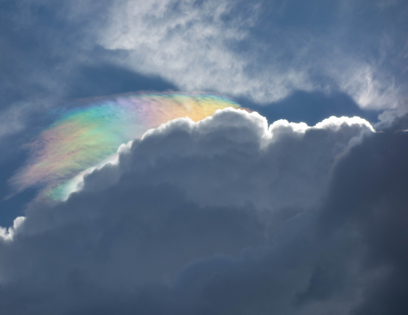 Verkümmerter Regenbogen