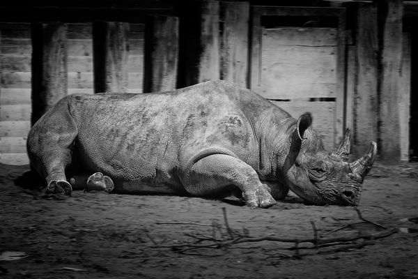 Verlängertes Wochenende, goil!
