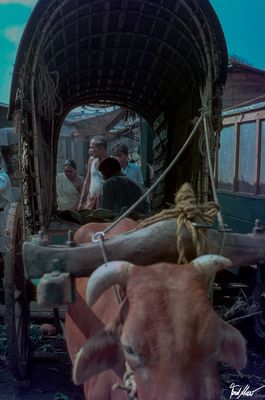 Verlässliche Logistik / Reliable logistic