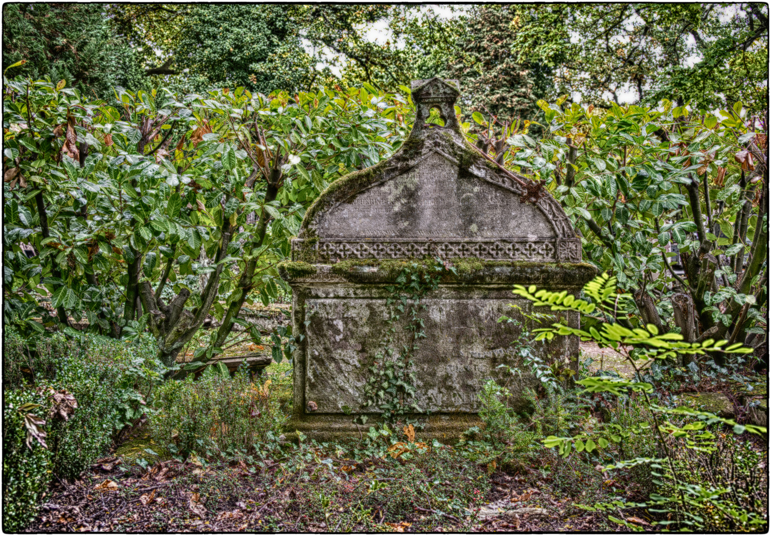 Verlassen... - Abandonné...