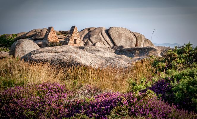 . . . . verlassen . . . .