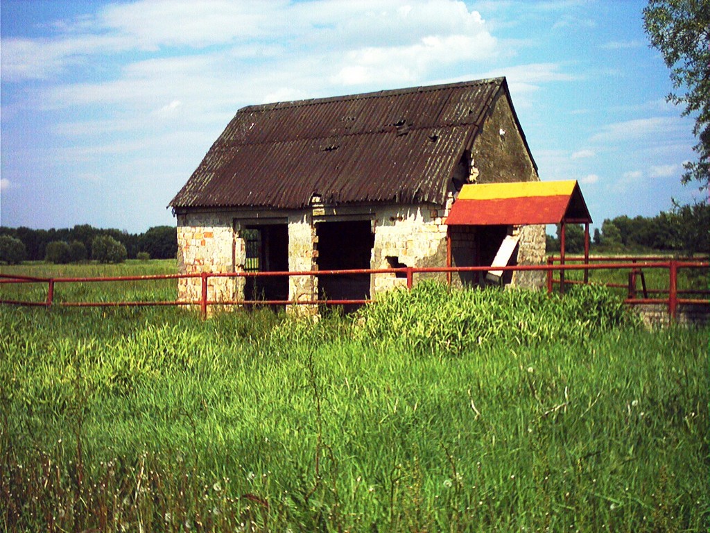 Verlassen im Odervorland