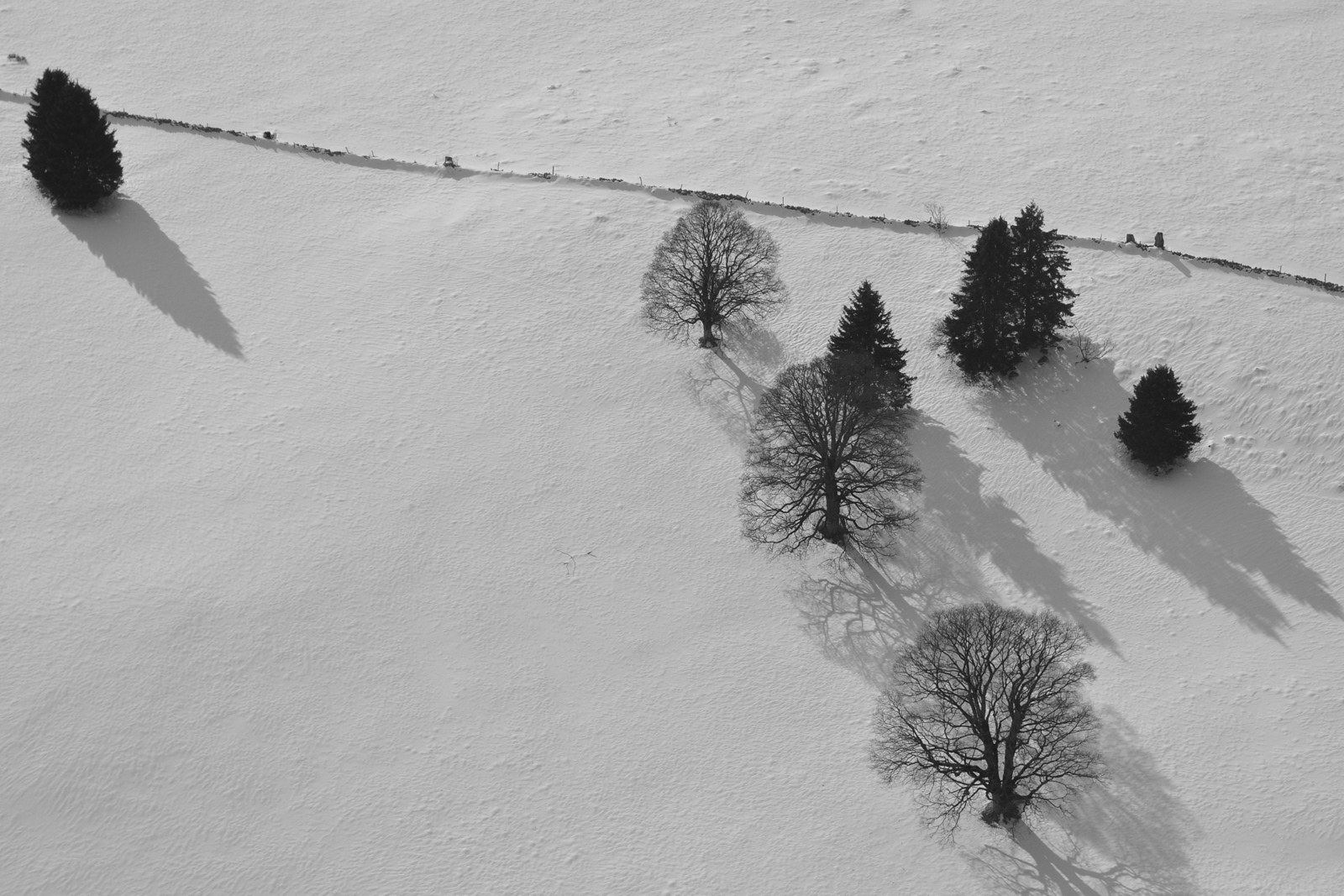 Verlassen im Schnee