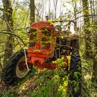 verlassen im Wald