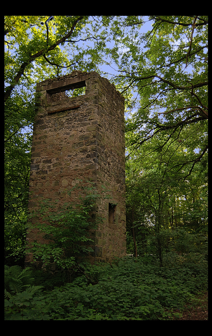 ...verlassen im Wald...