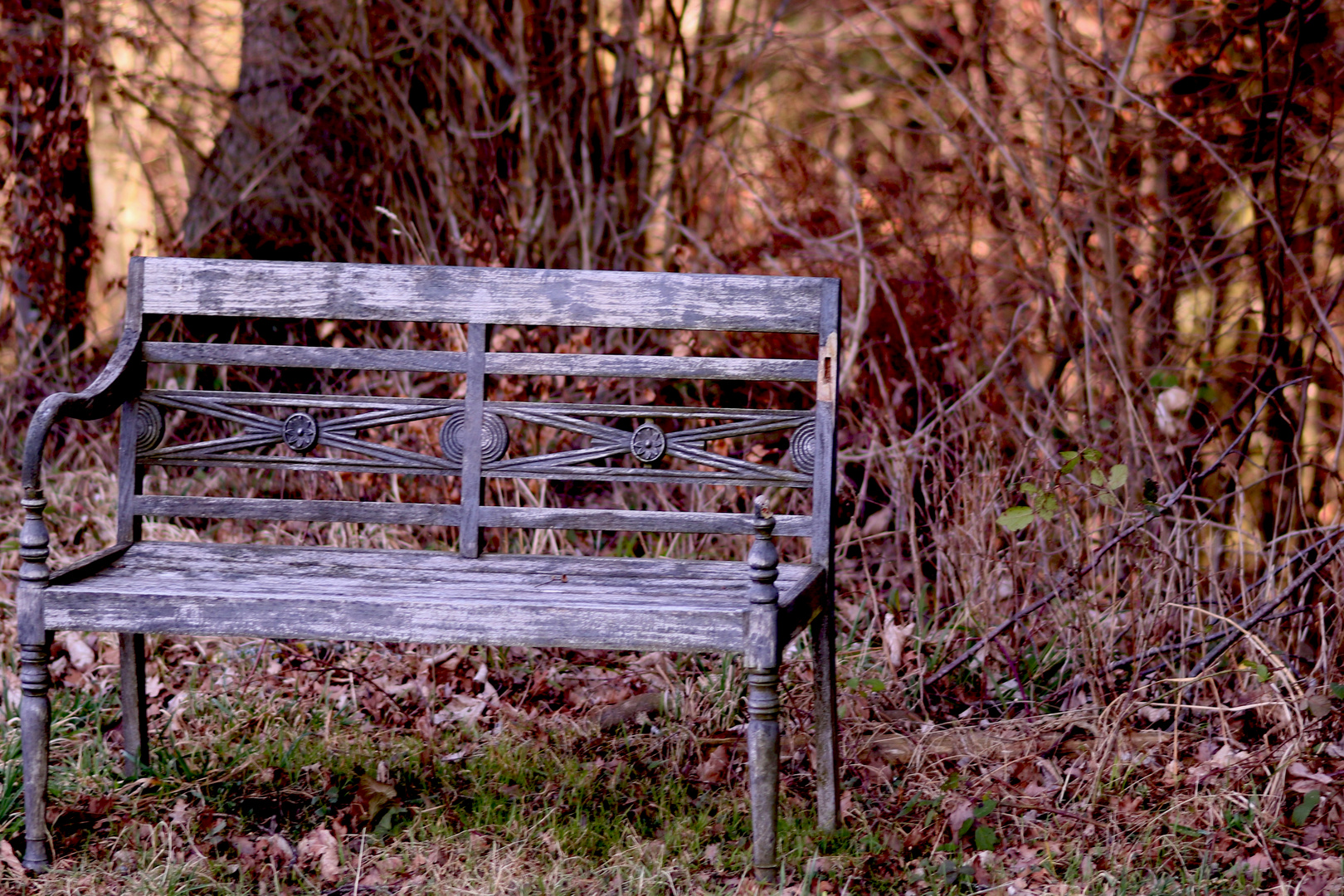 Verlassen im Wald 