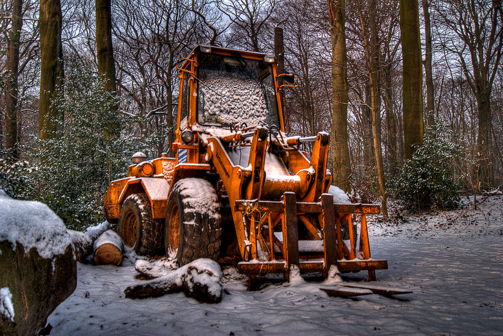 Verlassen im Wald - HDR -