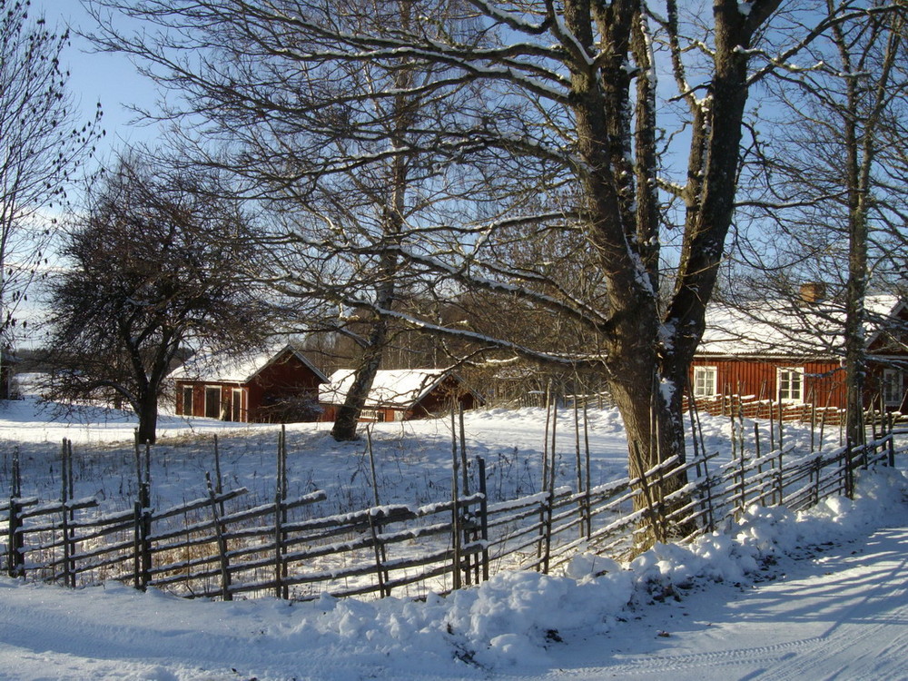 Verlassen im Winter