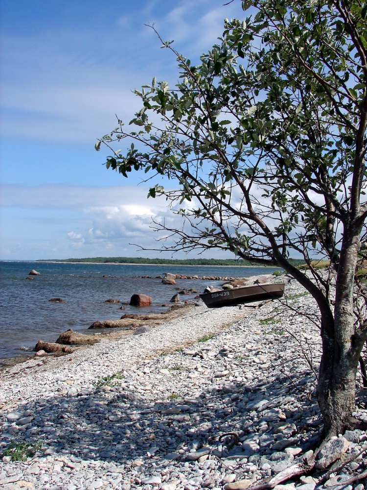 Verlassen in Estland