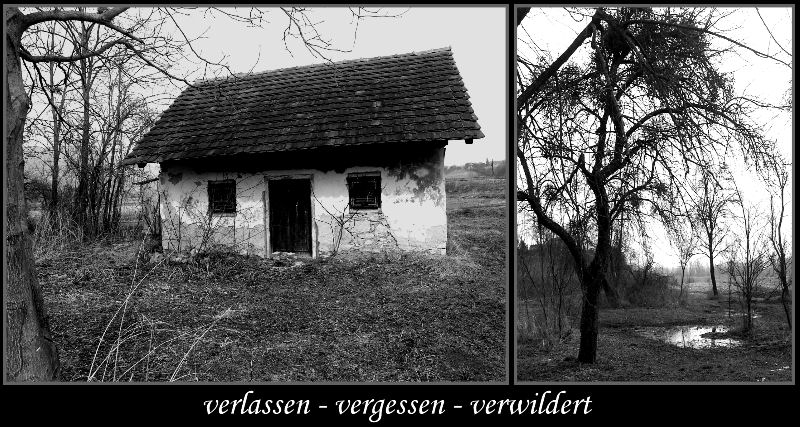 verlassen - vergessen - verwildert