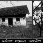 verlassen - vergessen - verwildert