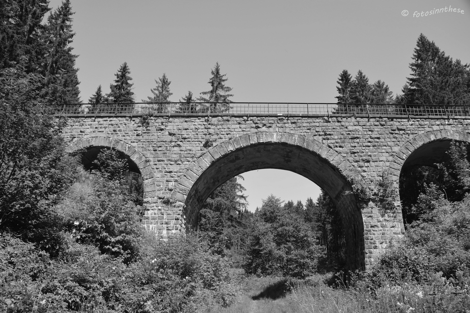 Verlassene Bahnbrücke zwischen Altenau und Clausthal-Zellerfeld 3