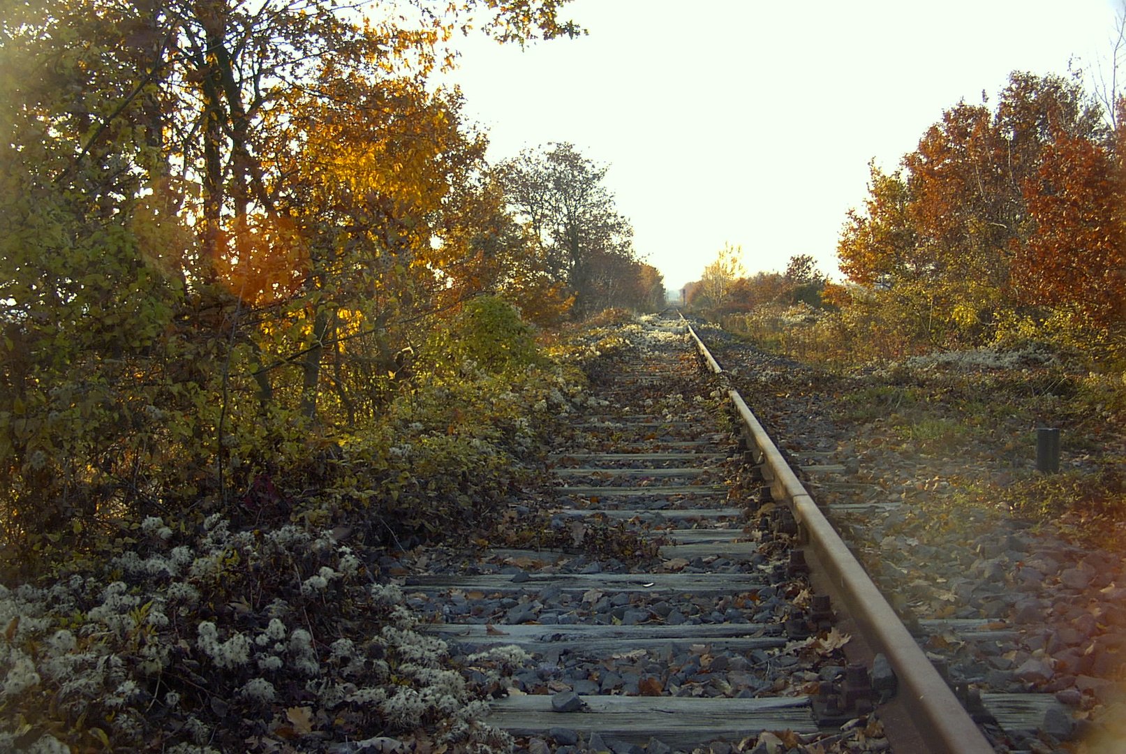 Verlassene Bahnstrecke an der dt.-frz. Grenze