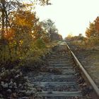 Verlassene Bahnstrecke an der dt.-frz. Grenze