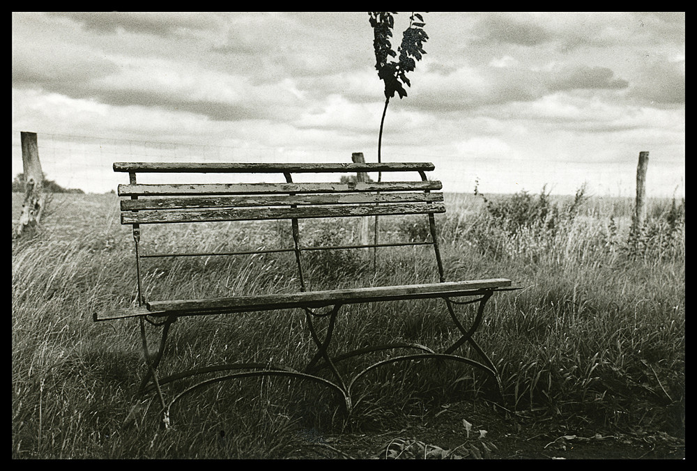 Verlassene Bank am Feld