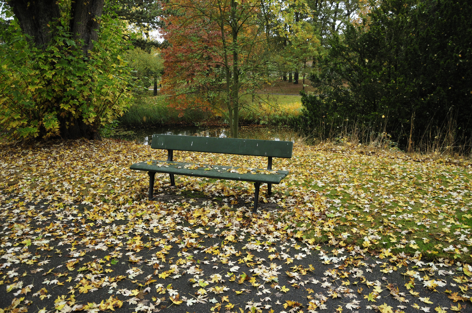 Verlassene Bank im Herbst