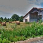 verlassene Bauernlandschaft