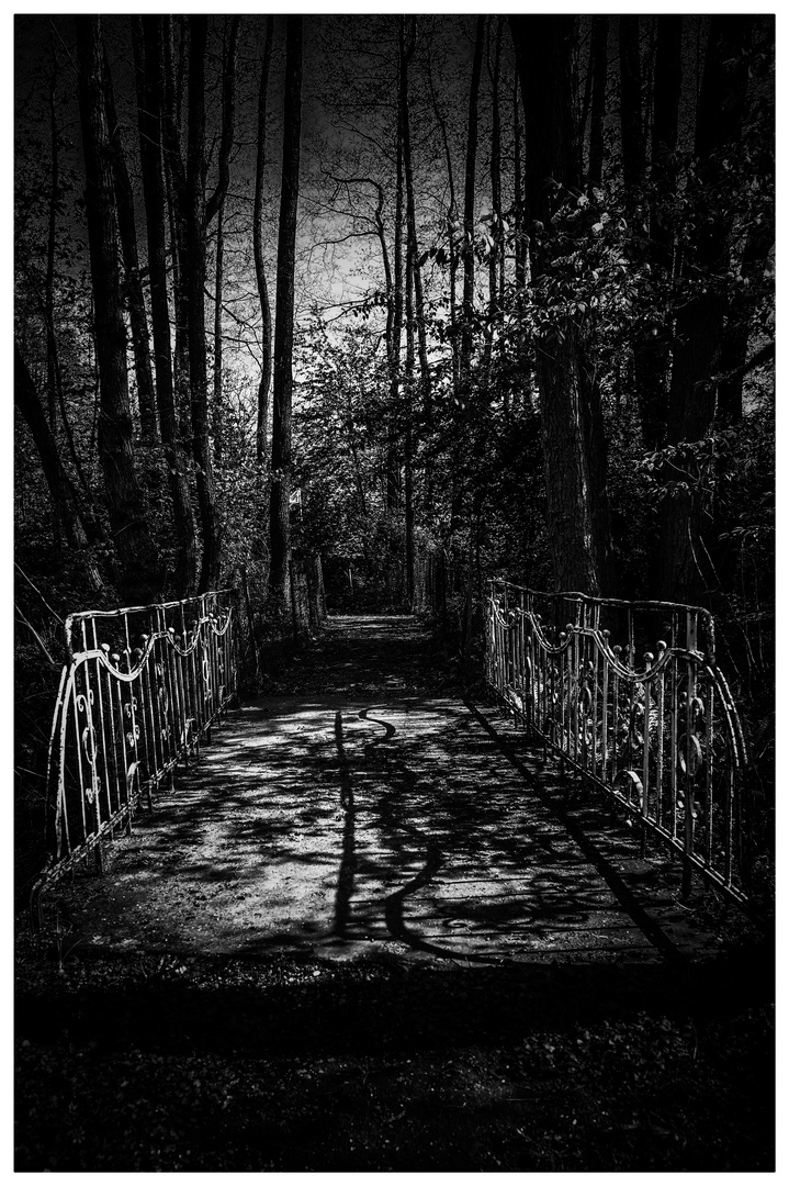 Verlassene Brücke im Wald
