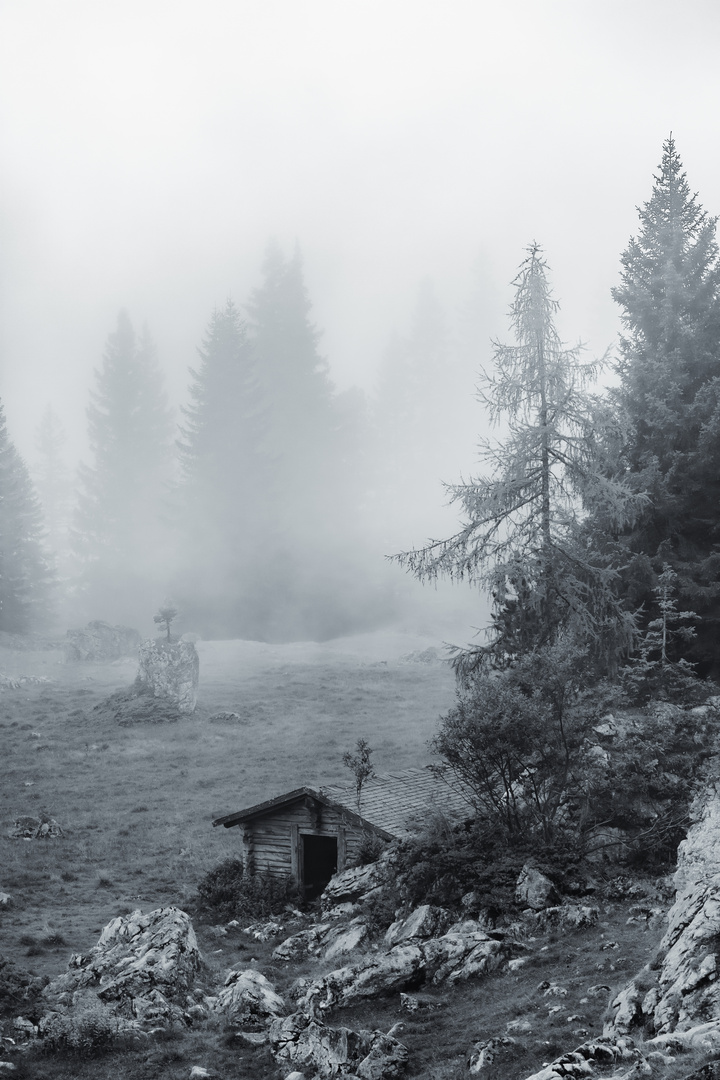 verlassene Hütte im Nebel