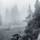 verlassene Hütte im Nebel