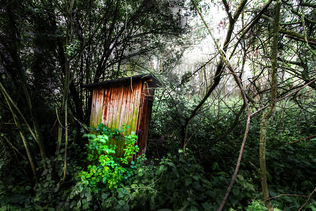 Verlassene Hütte im Wald