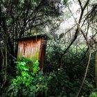 Verlassene Hütte im Wald