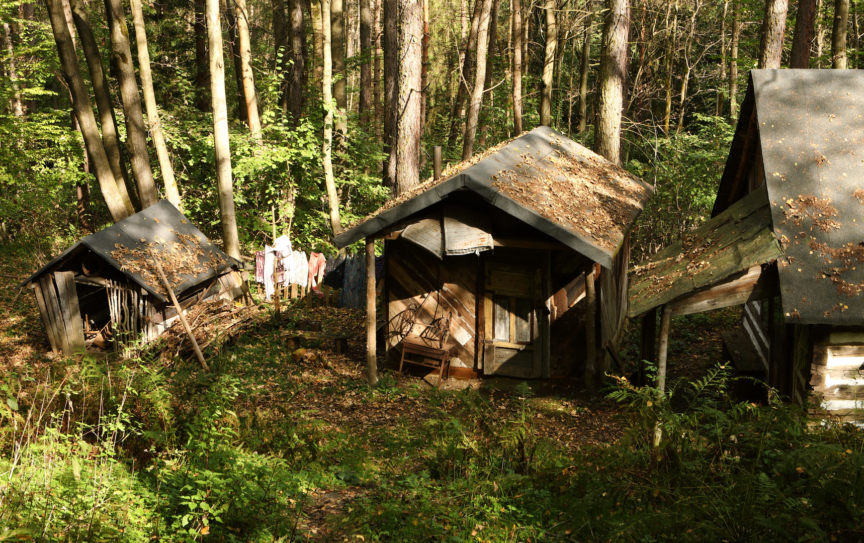 verlassene Katstelle im Wald