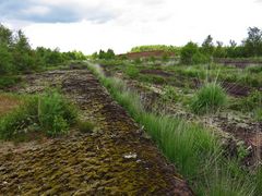 verlassene Torfabbaustelle