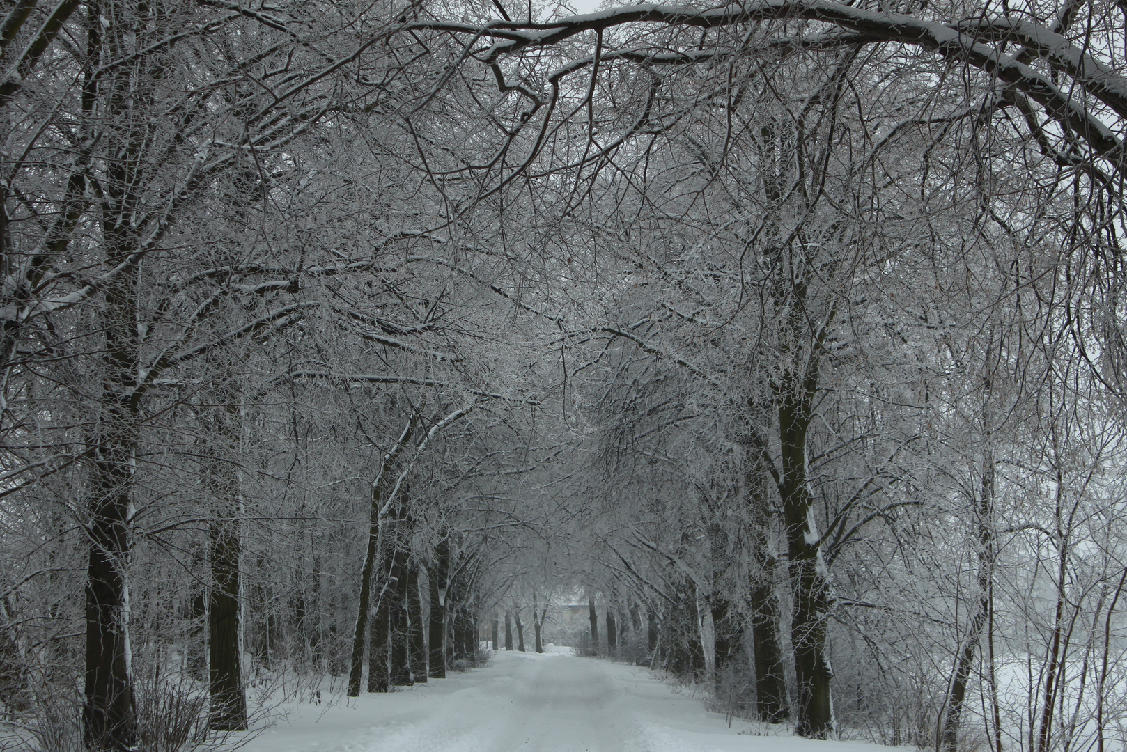 verlassene Winterlandschaft...