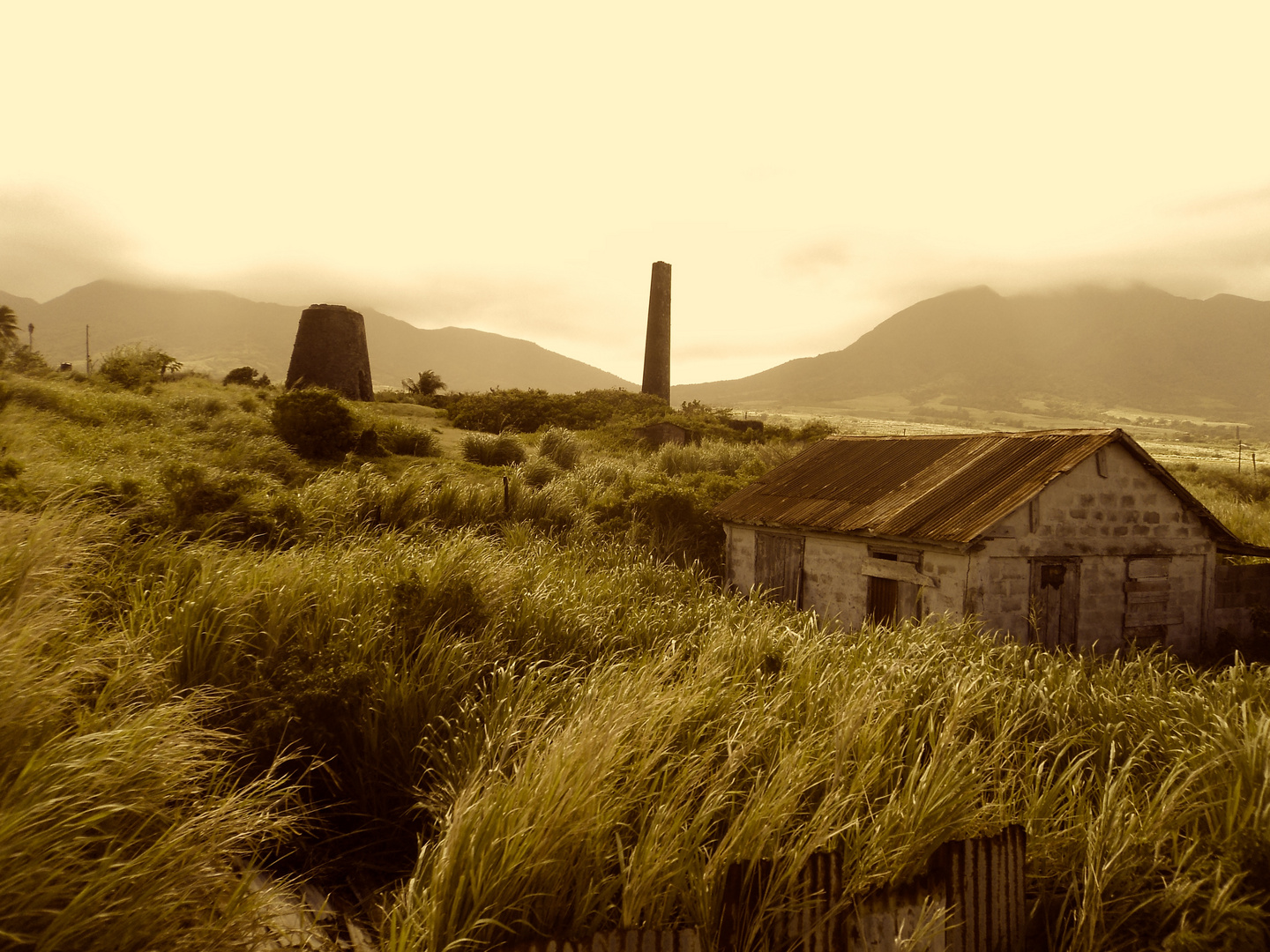 Verlassene Zuckerrohrfarm auf St. Kitts