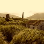 Verlassene Zuckerrohrfarm auf St. Kitts