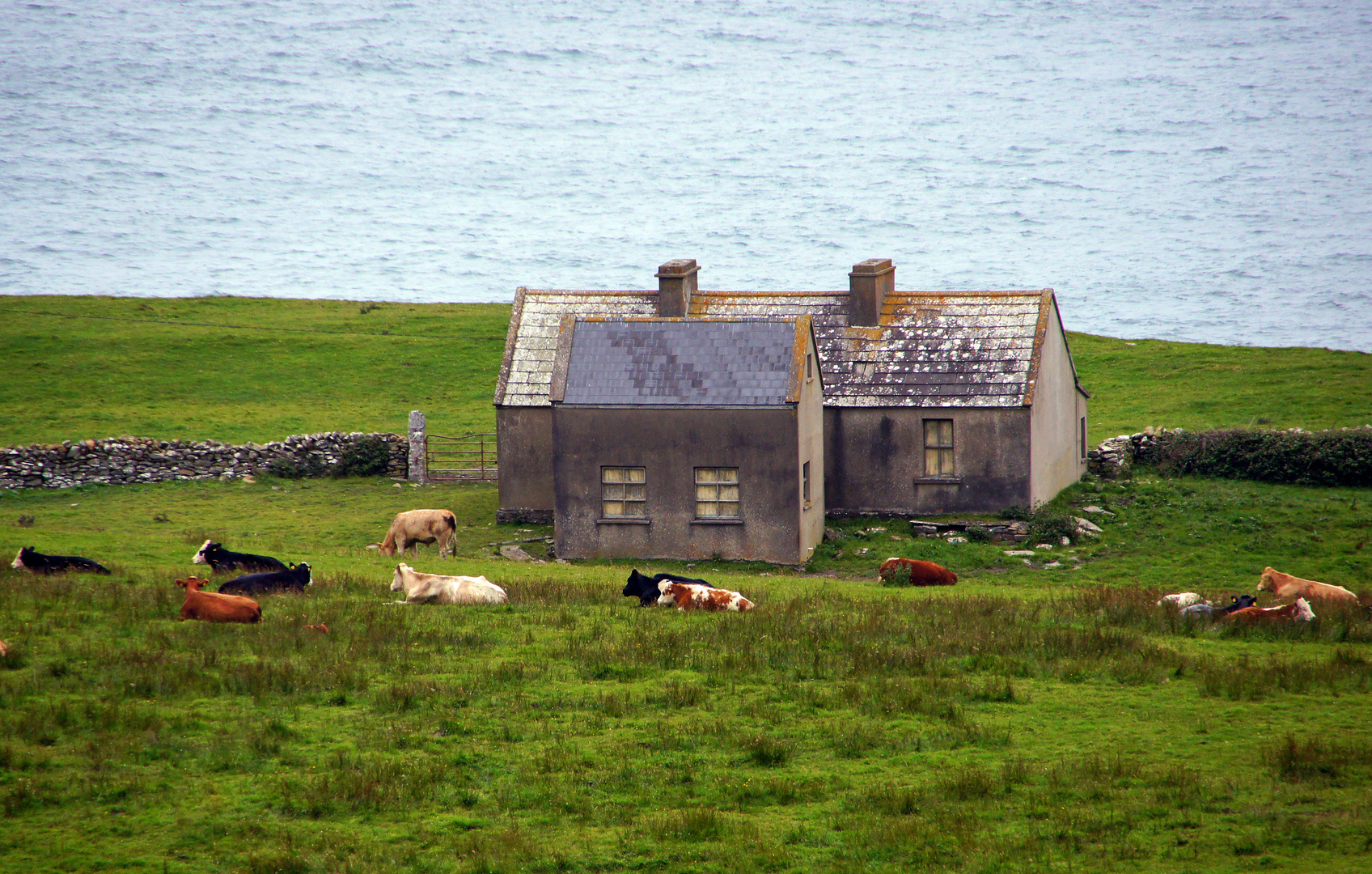 Verlassener Bauernhof bei Doolin