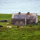 Verlassener Bauernhof bei Doolin