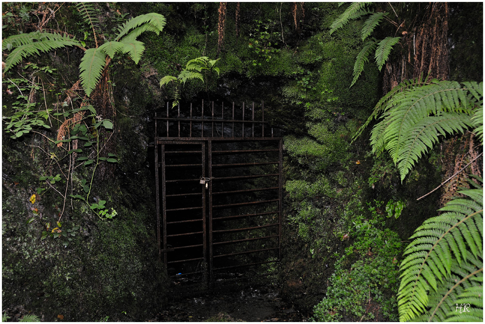 Verlassener Eingang der Zinnmine in Lydford George