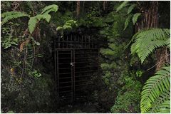 Verlassener Eingang der Zinnmine in Lydford George