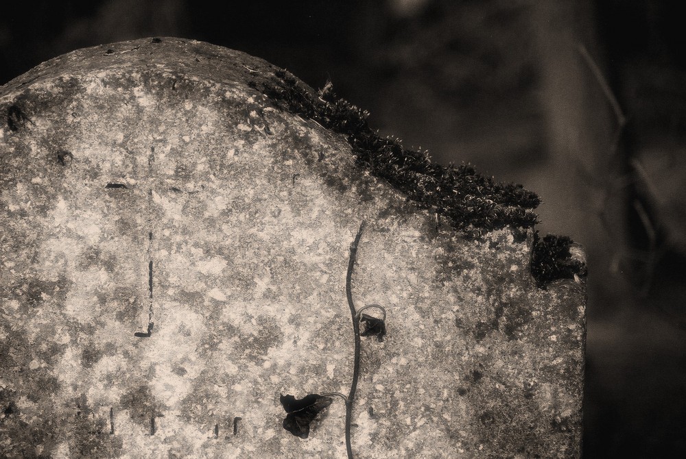 verlassener Friedhof in der Nähe von Ketzin