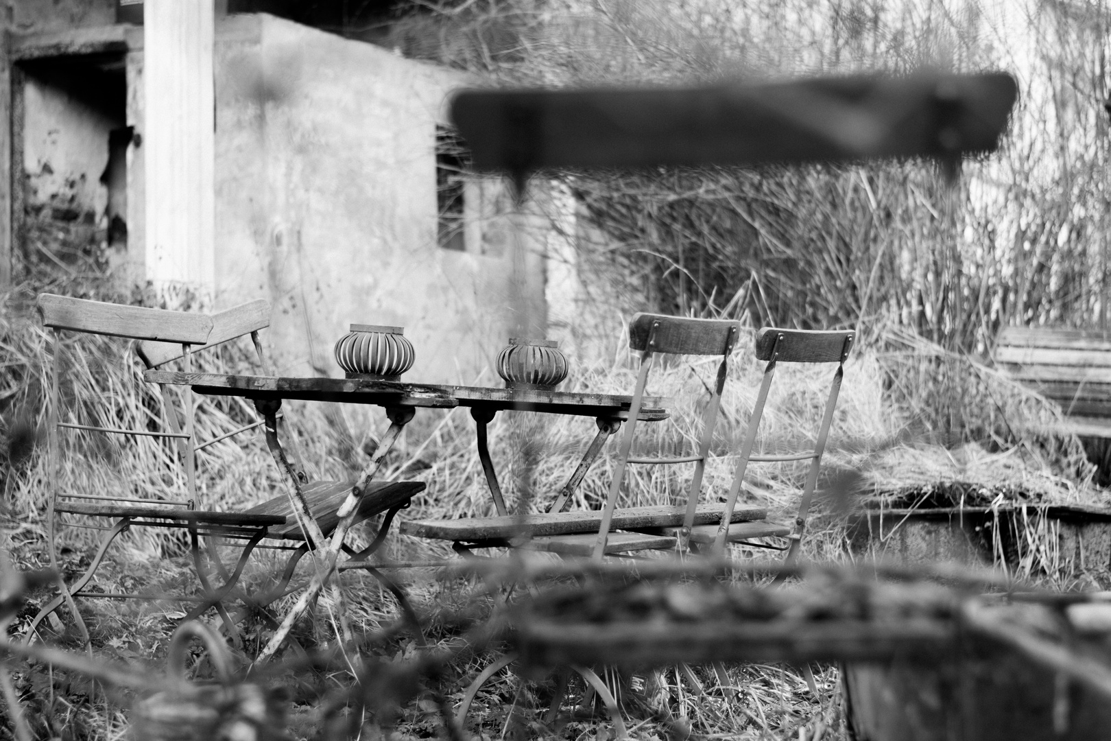 verlassener Garten / abandoned garden