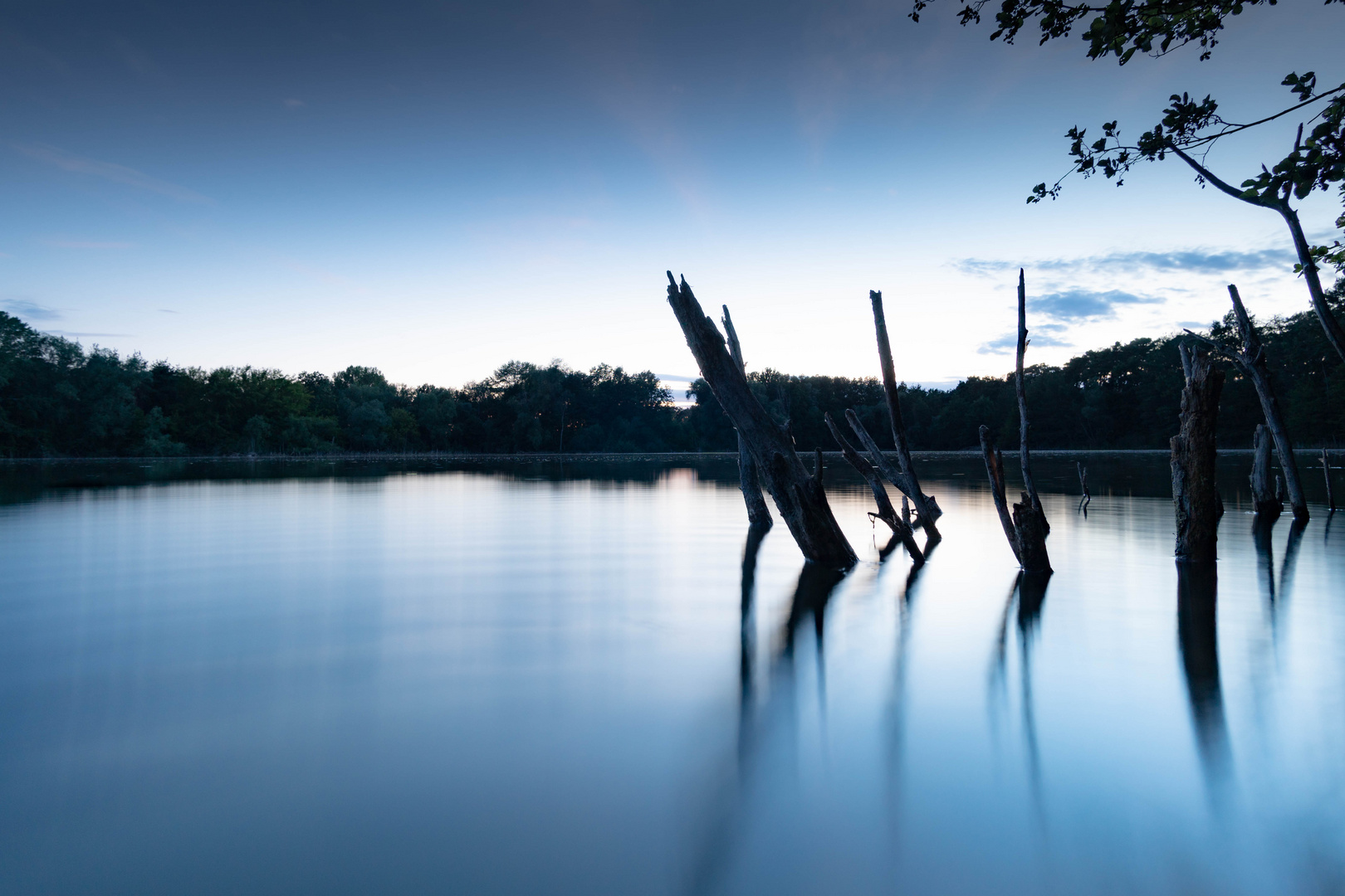 Verlassener Weiher