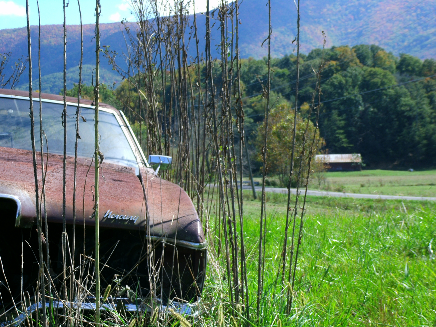 Verlassenes Auto im Feld