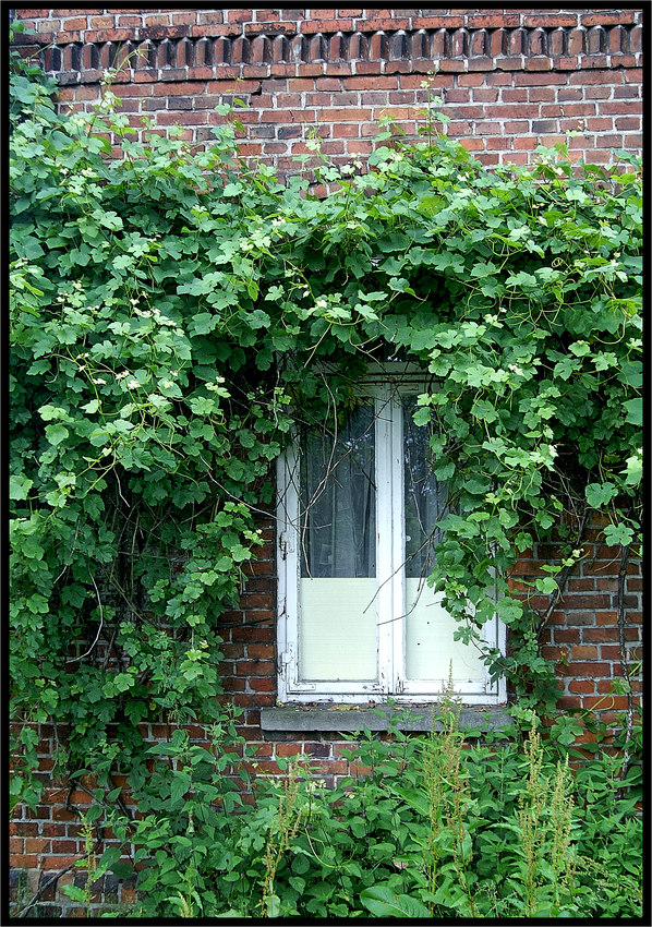 Verlassenes Bauernhaus :<(