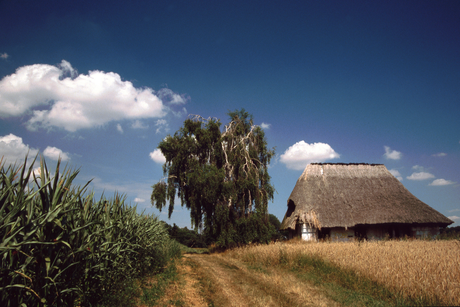 Verlassenes Bauernhaus