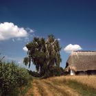 Verlassenes Bauernhaus