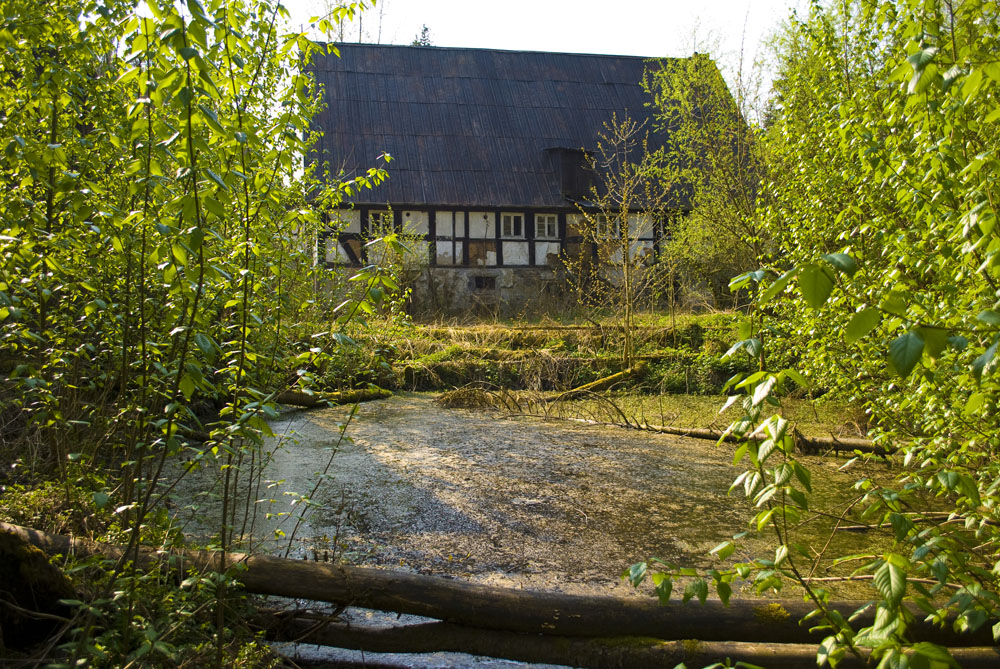 Verlassenes Bauernhaus am Tümpel