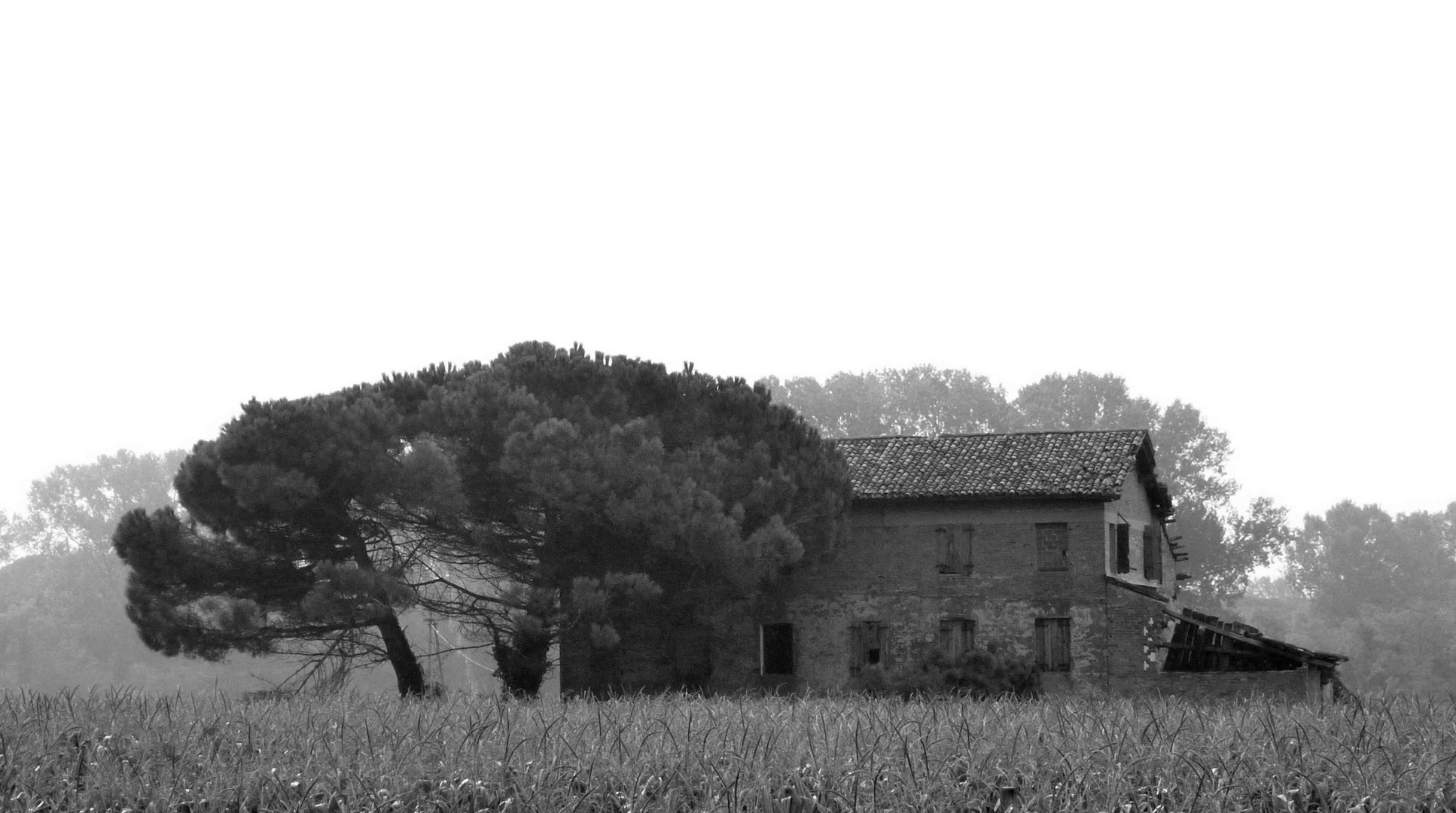 verlassenes Bauernhaus im Hinterland von Venetien...