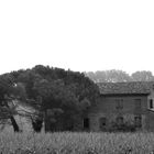 verlassenes Bauernhaus im Hinterland von Venetien...