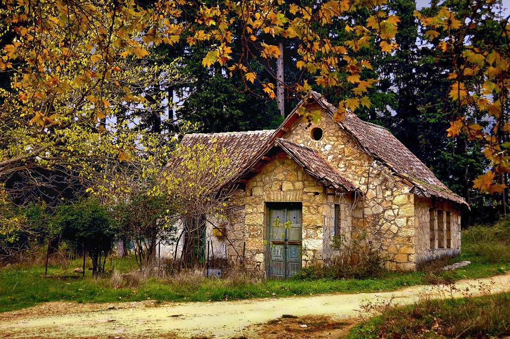 Verlassenes Haus/ Abandoned House