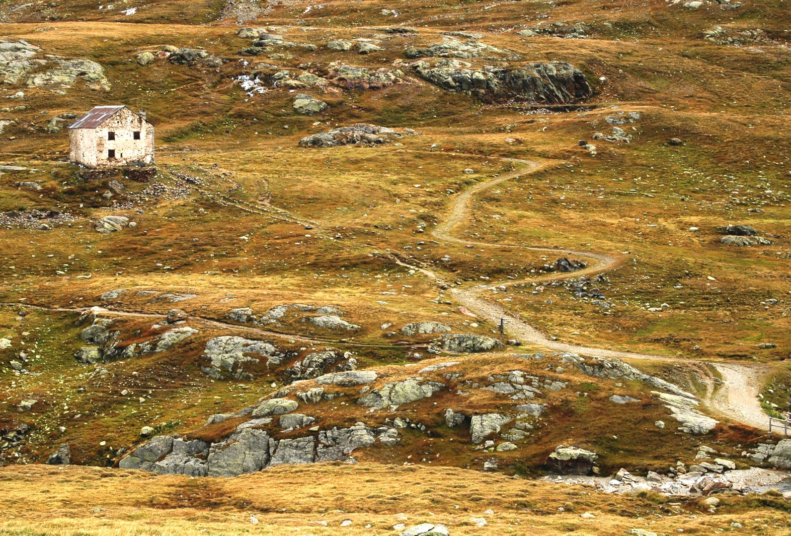 Verlassenes Haus am Gavia-Pass (ü. 2600 m)  in monochromer Landschaft