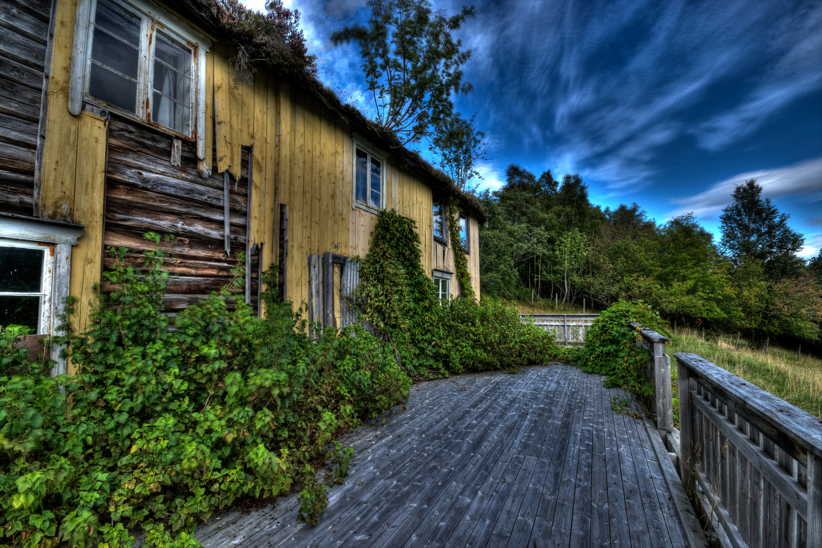 Verlassenes Haus am Waldrand - Hitra