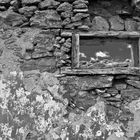 verlassenes Haus bei Pájara / Fuerteventura